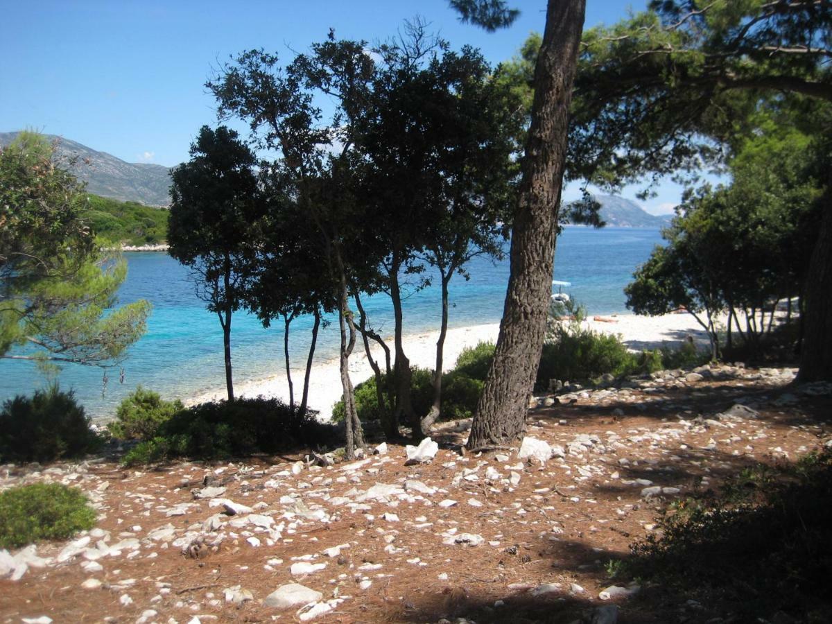 Apartment Korčula Eksteriør billede